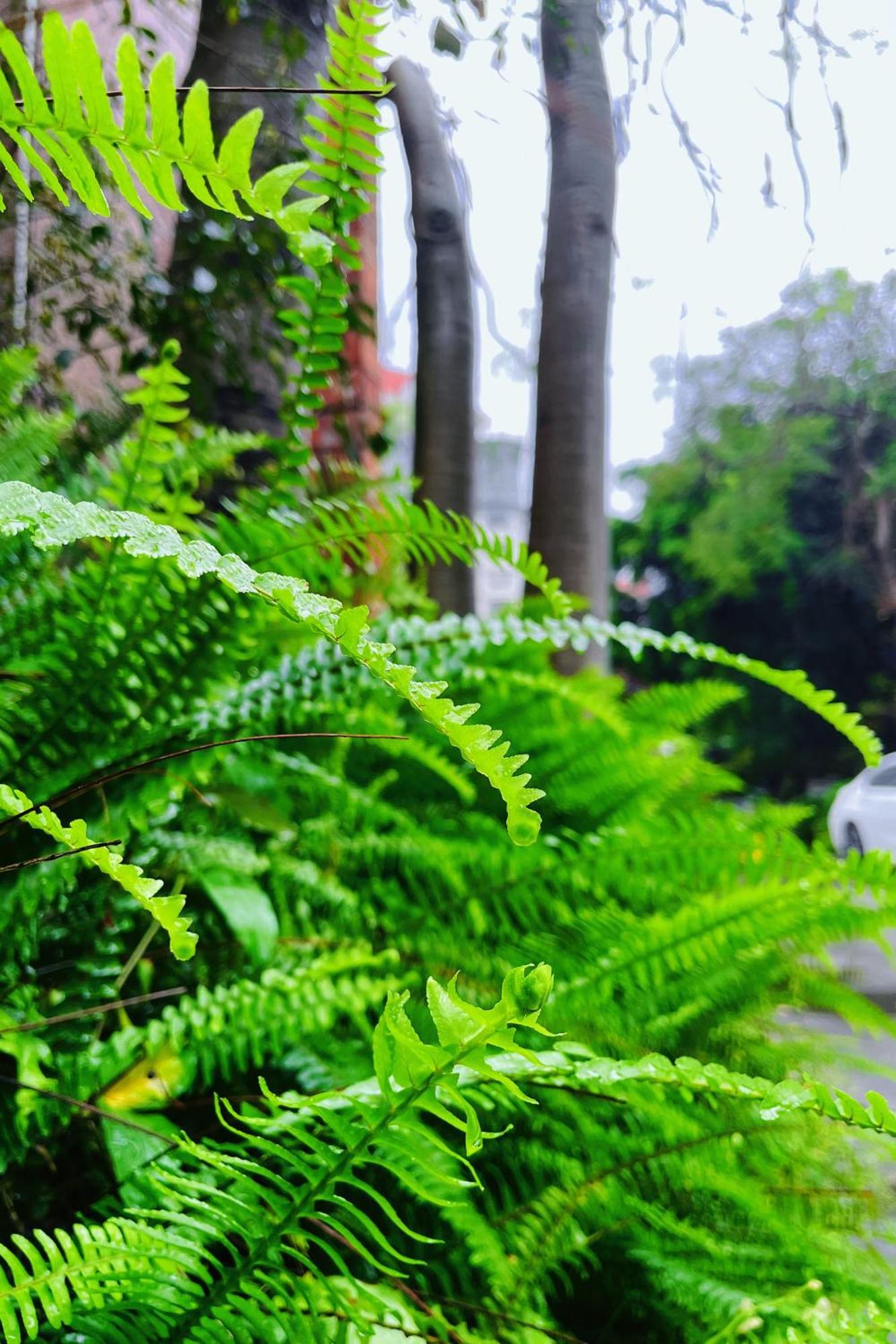 Xiamen Xiang An Yi Hao Hotel מראה חיצוני תמונה