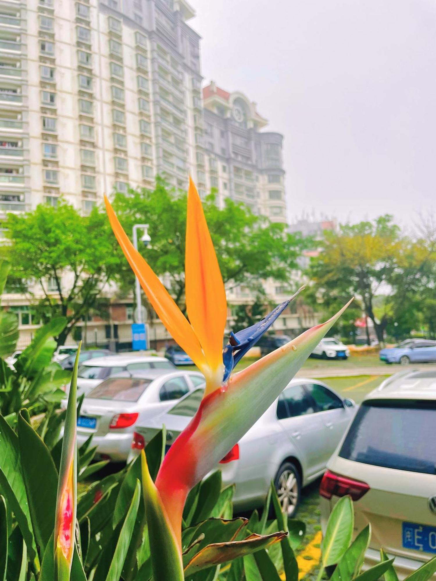 Xiamen Xiang An Yi Hao Hotel מראה חיצוני תמונה