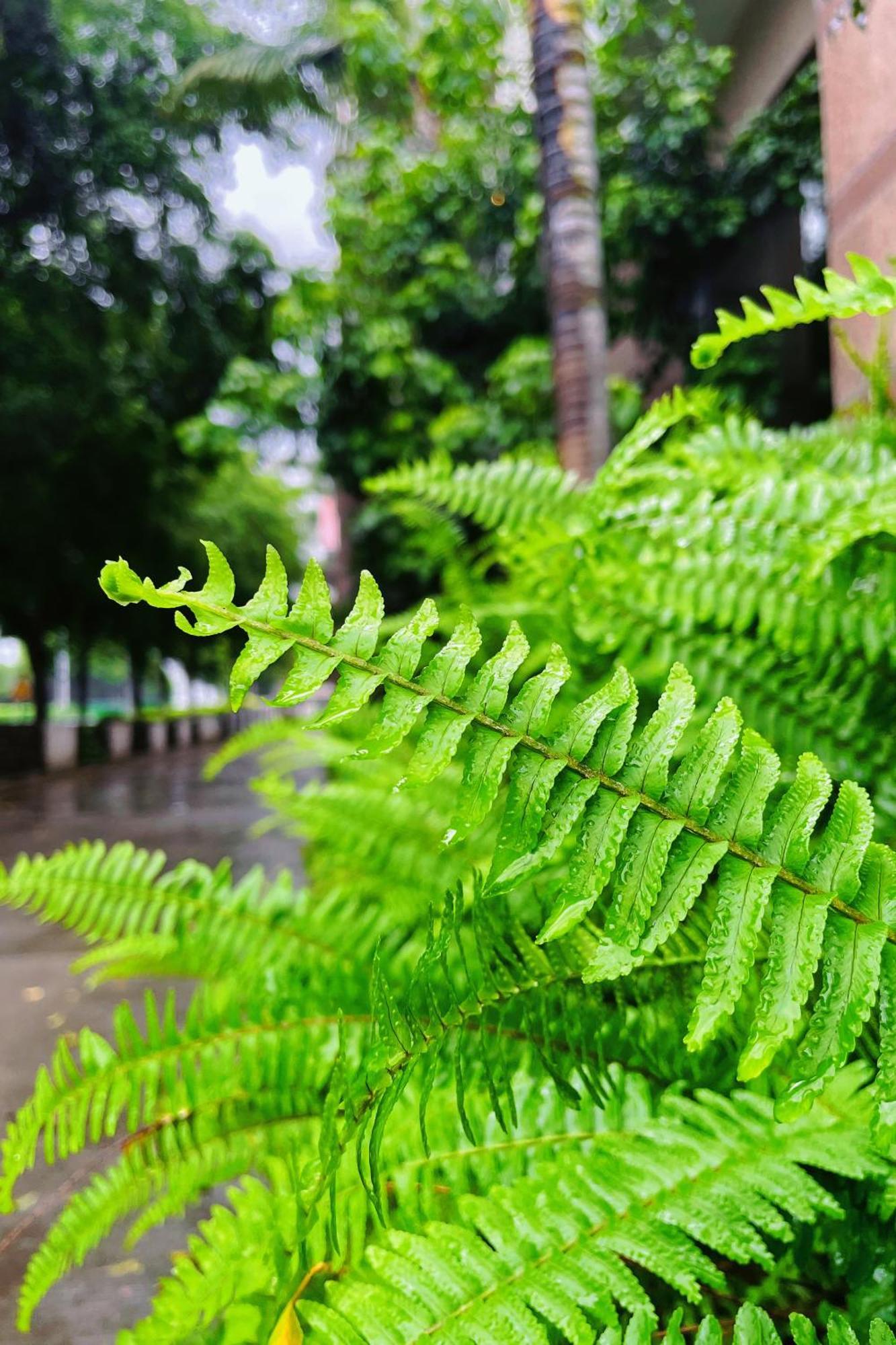 Xiamen Xiang An Yi Hao Hotel מראה חיצוני תמונה