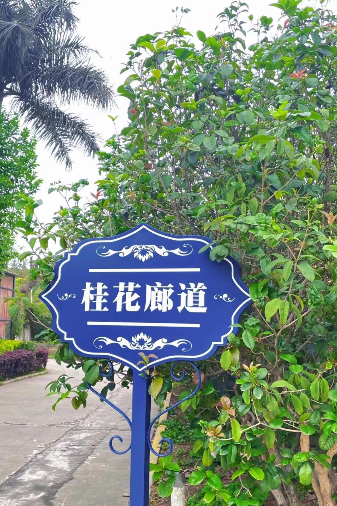 Xiamen Xiang An Yi Hao Hotel מראה חיצוני תמונה